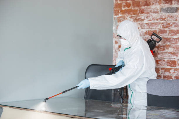 Best Residential Mold Inspection & Testing  in Olney, IL